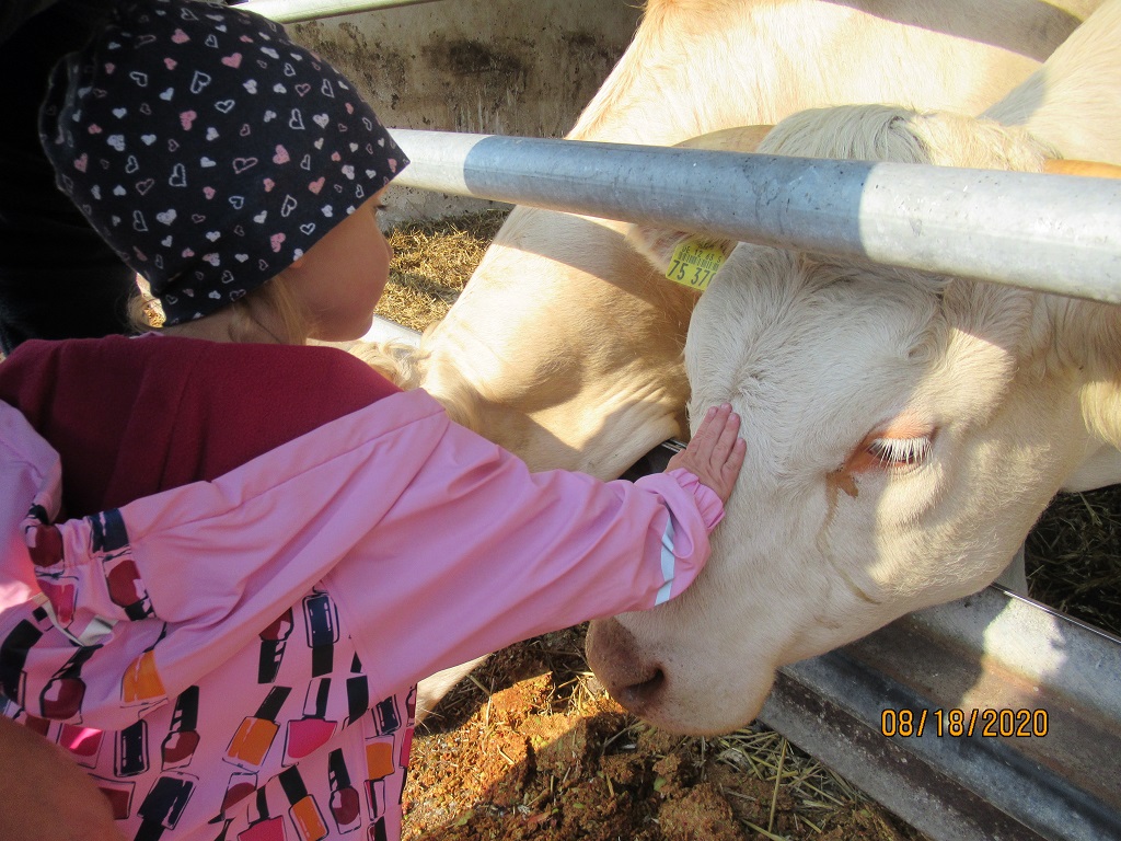 ZeitungsberichtBild1