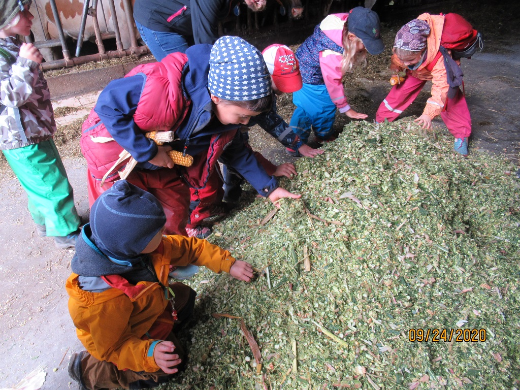 ZeitungsberichtBild3