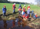 2006_5