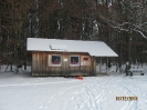 2011