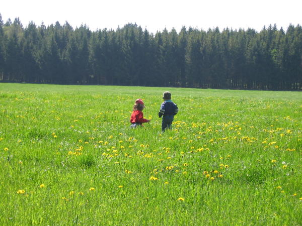 2008_25.jpg